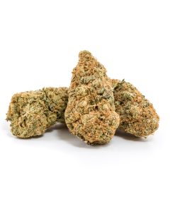 strawberry cough marijuana strain