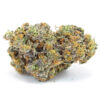 Gary Payton Marijuana Strain for sale