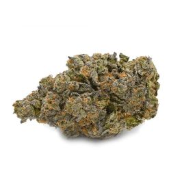 Order Jungle Cake Strain (AAAAA) Online