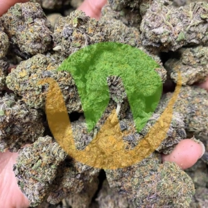 Alaskan Thunder Fuck strain (AA) For Sale