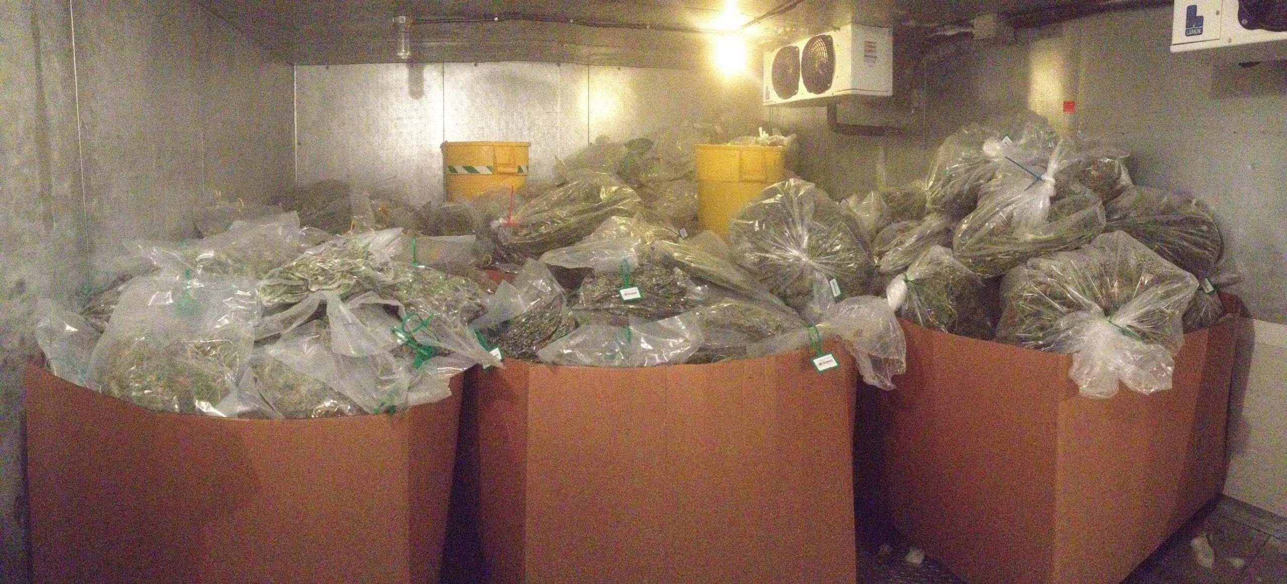 Online Delivery Weed