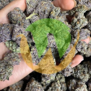 Black Diamond Strain (AAA)