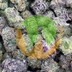 Black Gold Strain (AAA)