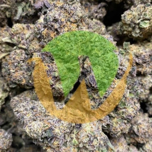 Buy Kraken Strain (AAAA)