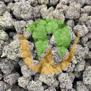 Papaya Punch Strain (AAAA) For Sale