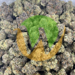 Garlic Breath Strain (AAAAA) for sale