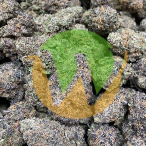 Gelato Cake Strain (AAAA)