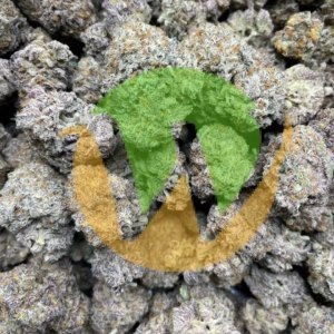 Tom Ford Pink Kush Strain (AAAA)