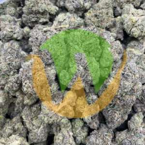 5 Alive Marijuana Strain