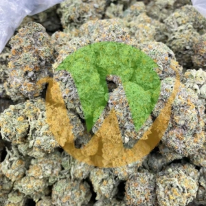 Do-Si-Dos Marijuana Strain