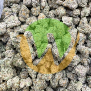 Durban poison strain