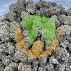 Gary Payton Marijuana Strain