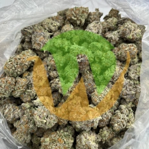 Kyle sweet island strain