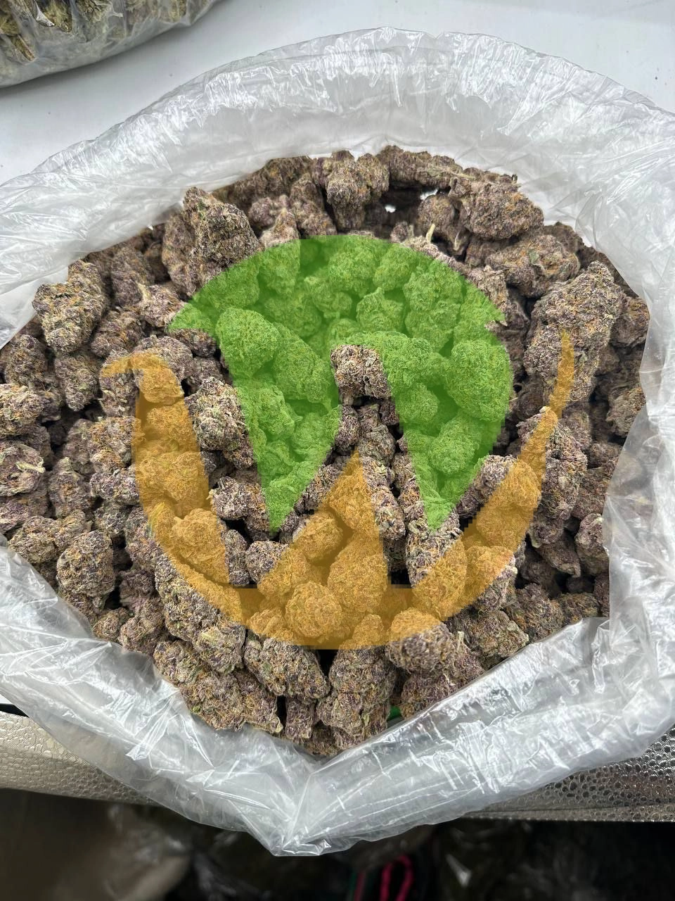 photo_2023-03-05_14-27-55 Pink Certz Marijuana Strain