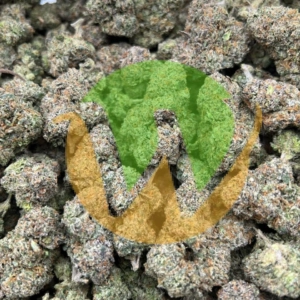 Larry OG Strain (AAAA) for sale