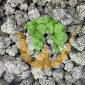 Lindsay OG Strain (AA)