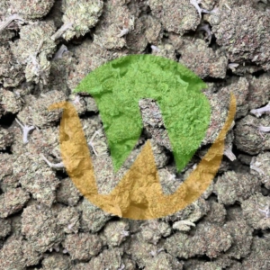 Mimosa Strain (AAAA)