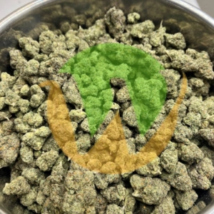 Order Nuken Strain (AAA)