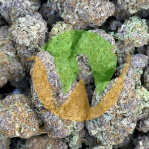 Space Runtz Marijuana Strain