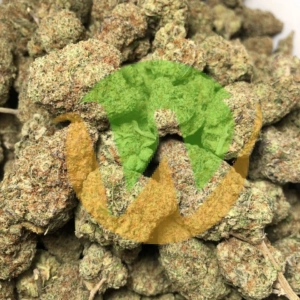 Pink Kush Strain (AAAAA)